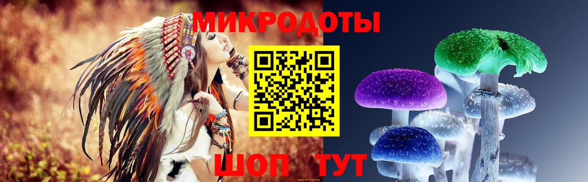 Псилоцибиновые грибы Psilocybe  Вход с VPN  Ивантеевка 